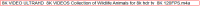 without_elide.png