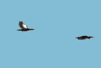 image-2022-02-08-18-42-45-805.png