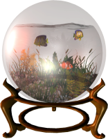 globe-scene-fish-bowl.png