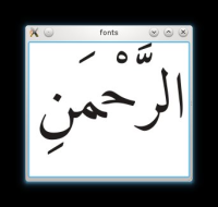amiri-font-wrong.jpg