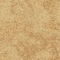 Cork1.png